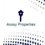Assay Properties